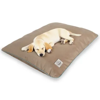 Pat pentru animale de companie, Paws & Whiskers, Puppy Dog S, Material exterior: 100% poliester, Bej imagine