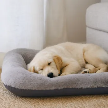 Pat pentru animale de companie, Paws & Whiskers, Sally Dog 75 x 95, Material exterior: 100% poliester, Gri imagine