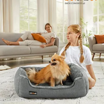 Accesorii Caini si Pisici imagine