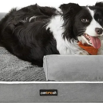 Pat pentru caini si pisici Fluffy M, Feandrea, max 25 kg, 91x71x25 cm, husa lavabila, gri imagine