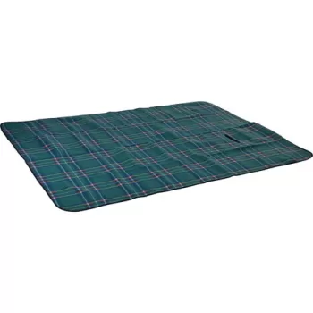 Patura pentru picnic Checker, 150x200 cm, poliester, verde imagine