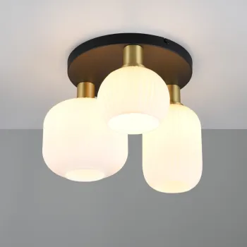 Plafoniera Diva, TRIO, 39x28.5 cm, 10W, 3x E27, metal, multicolor imagine