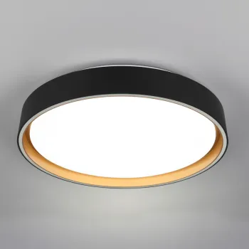 Plafoniera Felis, RL, 40x7.5 cm, 24W, 1x SMD, plastic, negru/auriu imagine