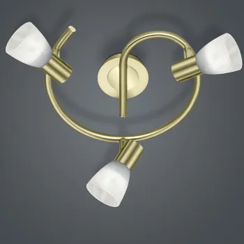 Plafoniera Levisto, TRIO, 30x21 cm, 4.9W, 3x E14, metal, bronz mat/alb imagine