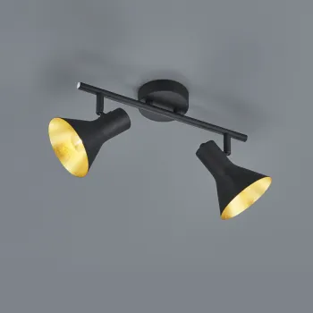 Plafoniera Nina, RL, 33x11x21 cm, 40W, 2x E14, metal, negru/auriu imagine