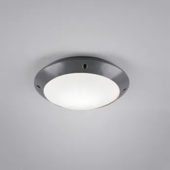 Plafoniera pentru exterior Camaro, RL, 26x8.5 cm, 12W, 1x E27, plastic, antracit imagine