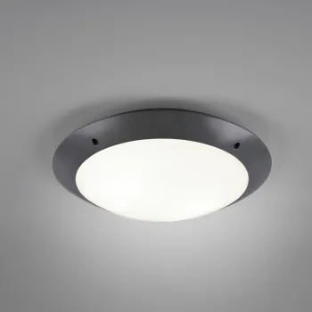 Plafoniera pentru exterior Camaro, RL, 33x9 cm, 12W, 2x E27, plastic, antracit imagine