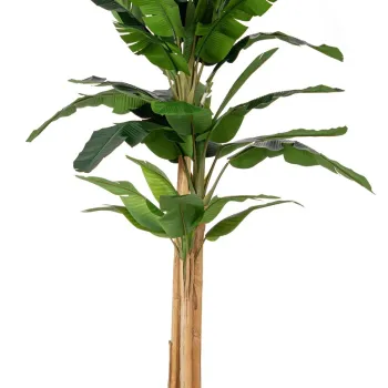 Planta artificiala in ghiveci Banan, Bizzotto, O180 x 320 cm, 30 frunze, frunze de arbore de cauciuc/trunchi de bananier imagine