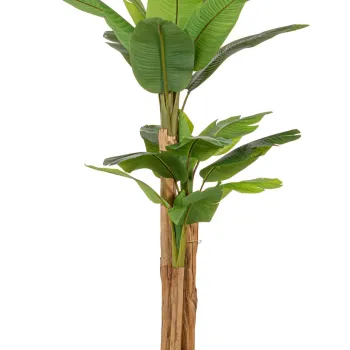 Planta artificiala in ghiveci Banana, Bizzotto, 115 x 120 x 200 cm, 20 frunze, frunze de arbore de cauciuc imagine