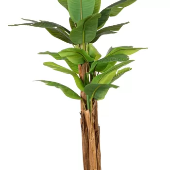 Planta artificiala in ghiveci Banana, Bizzotto, O125 x 240 cm, 22 frunze, frunze de arbore de cauciuc/trunchi de bananier imagine
