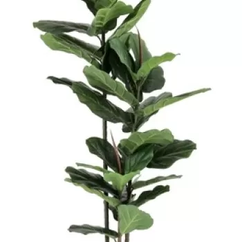 Planta artificiala in ghiveci Ficus, Bizzotto, 100 x 60 x 145 cm, 39 de frunze, verde imagine