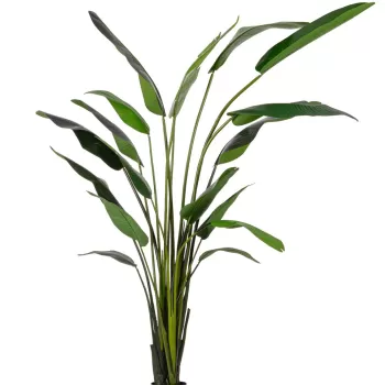 Planta artificiala in ghiveci Sterilizia, Bizzotto, 180 x 140 x 310 cm, 18 frunze, frunze de arbore de cauciuc imagine