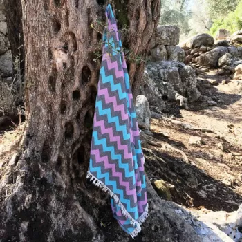 Prosop de plaja, DC Home, Rapsodi, Bumbac, Mov imagine