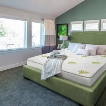 Saltea Super Ortopedica Aloe Vera Essential 100x200 cm imagine