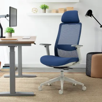 Scaun de birou ergonomic, Bedora Ergo, textil/mesh, albastru imagine