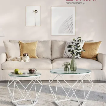 Set 2 masute de cafea Modern, Vasagle, blat detasabil, 50x40 cm, max 20 kg, otel/sticla, transparent/alb imagine