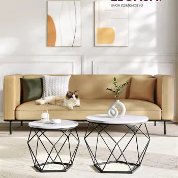 Set 2 masute de cafea Modern, Vasagle, blat detasabil, 60x45 cm, max 30 kg, otel/PAL, alb/negru imagine