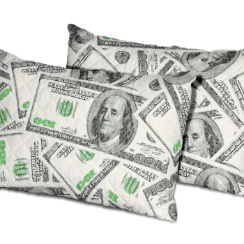 Set 2 perne Alcam, 50x70 cm, Dollar Dream, microfibra matlasata imagine