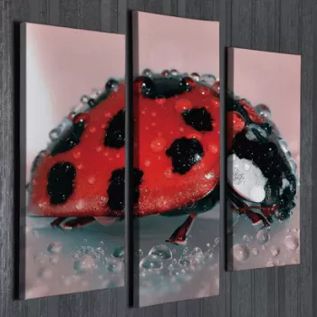 Set 3 tablouri decorative, UC58, Canvas, 45 x 20 cm, Multicolor imagine