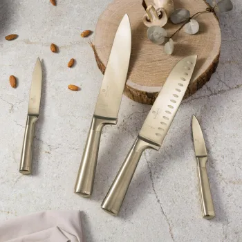Set 4 cutite Berlinger Haus, Sahara/Leonardo, inox, auriu imagine