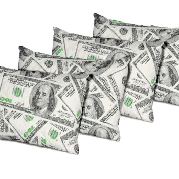 Set 4 perne Alcam, 50x70 cm, Dollar Dream, microfibra matlasata imagine