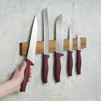 Set 5 cutite cu suport magnetic Berlinger Haus, Leonardo, inox/lemn, visiniu mat/natur imagine