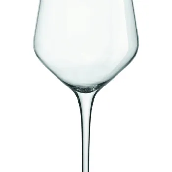 Set 6 pahare Vitae, Tognana Porcellane, 550 ml, sticla, transparent imagine