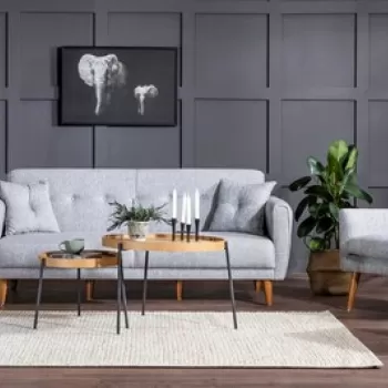 Set canapea extensibila, Unique Design, 867UNQ1588, Lemn de carpen, Gri imagine