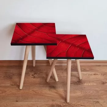 Set masute 2 piese, Leona, 2SHP104, Rosu imagine