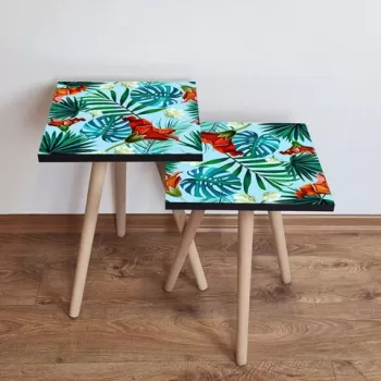 Set masute 2 piese, Leona, 2SHP199, Multicolor imagine