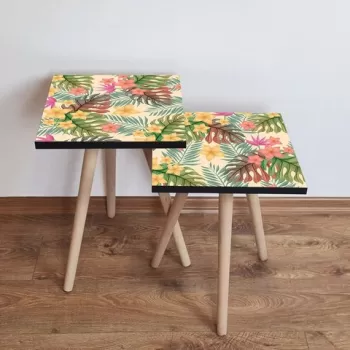 Set masute 2 piese, Leona, 2SHP20, Multicolor imagine