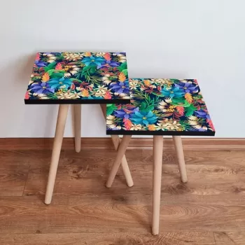 Set masute 2 piese, Leona, 2SHP214, Multicolor imagine