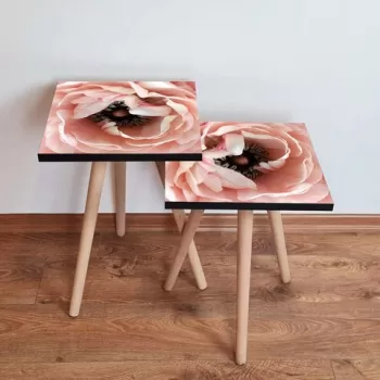 Set masute 2 piese, Leona, 2SHP251, Somon / Maro / Alb imagine