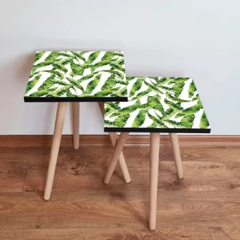 Set masute 2 piese, Leona, 2SHP253, Verde/Alb imagine