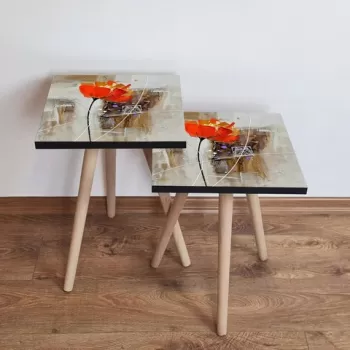 Set masute 2 piese, Leona, 2SHP302, Multicolor imagine