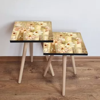 Set masute 2 piese, Leona, 2SHP309, Crem / Maro / Verde / Rosu imagine