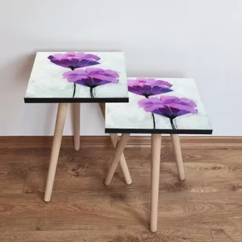 Set masute 2 piese, Leona, 2SHP311, Violet / Negru / Alb imagine