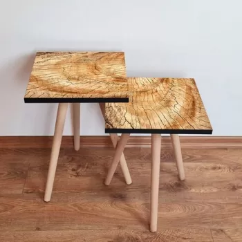 Set masute 2 piese, Leona, 2SHP351, Camila imagine