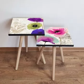 Set masute 2 piese, Leona, 2SHP489, Multicolor imagine