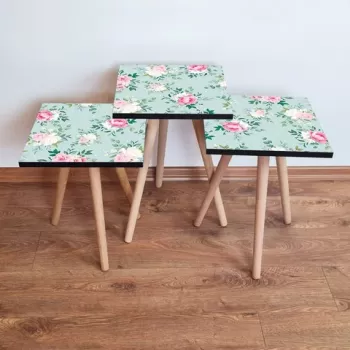 Set masute 3 piese, Leona, 3SHP167, Verde / Roz / Crem imagine