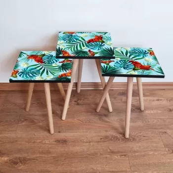 Set masute 3 piese, Leona, 3SHP199, Multicolor imagine