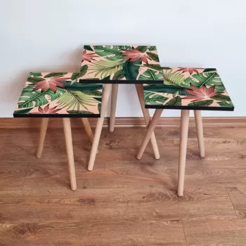 Set masute 3 piese, Leona, 3SHP203, Somon / Verde / Rosu Tigla imagine