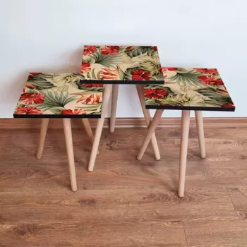 Set masute 3 piese, Leona, 3SHP205, Bej / Rosu / Verde imagine