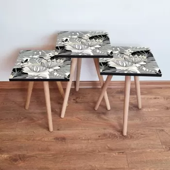 Set masute 3 piese, Leona, 3SHP213, Alb / Negru / Bej imagine