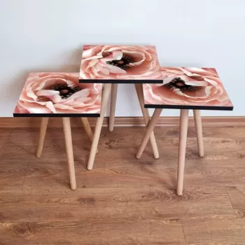 Set masute 3 piese, Leona, 3SHP251, Somon / Maro / Alb imagine