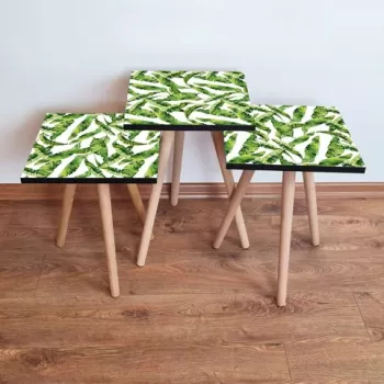 Set masute 3 piese, Leona, 3SHP253, Verde/Alb imagine