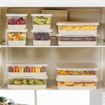 Set organizatoare frigider, Hermia, 964FRM3439, Dimensiune: 10,5 x 21,5 x 6,5 cm / 1000 ml (2 bucati) , Gri imagine