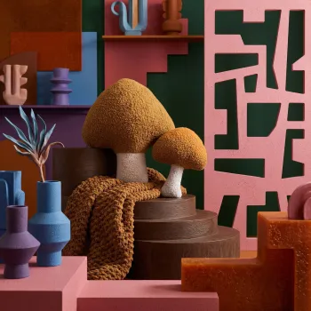 Perne Decorative imagine