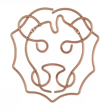 Suport decorativ perete Lion, Metaltex, 27 x 30 cm, inox, aramiu imagine
