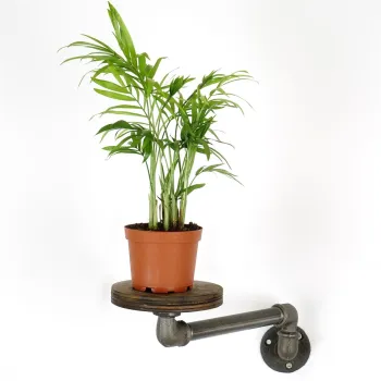 Suport pentru ghivece, BORURAF261, 35x12x10 cm, Argintiu imagine